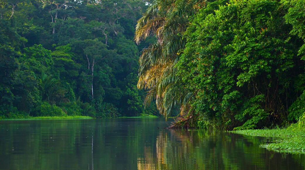 Tortuguero River, Tortuguero National Park, Costa Rica, Central America, America