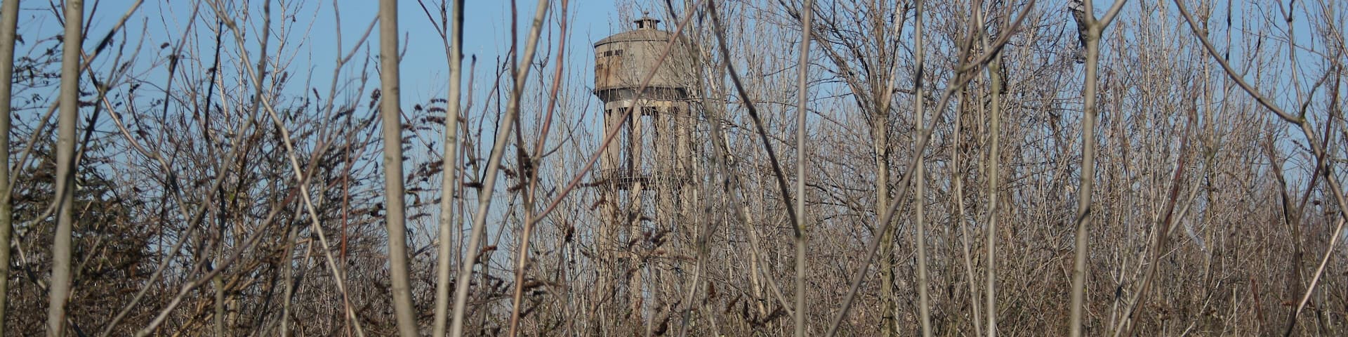 This is a photo of a monument which is part of cultural heritage of Italy. This monument participates in the contest Wiki Loves Monuments Italia 2015. See authorisations.