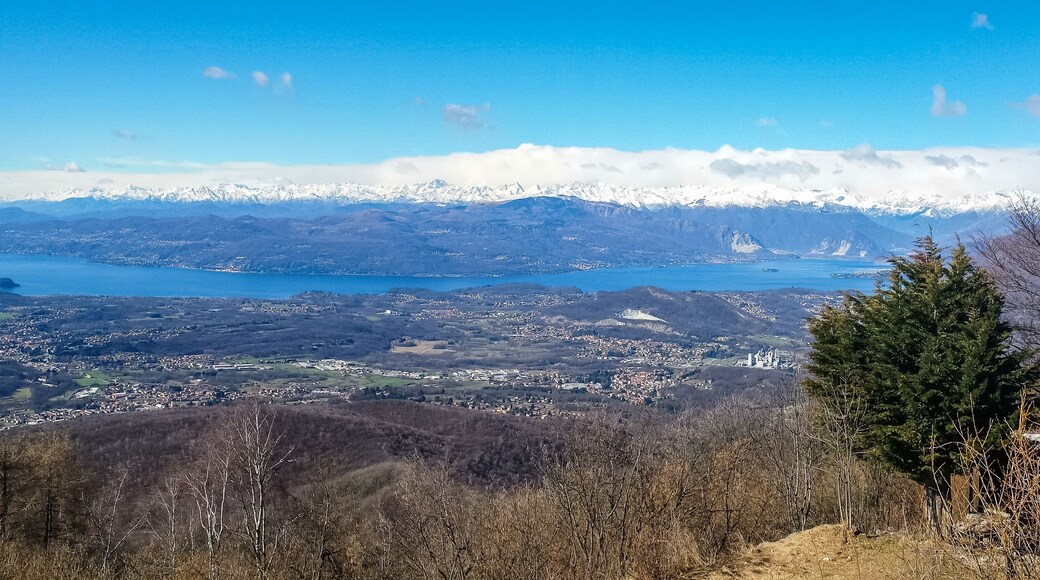 Aggregazione Rionale 9