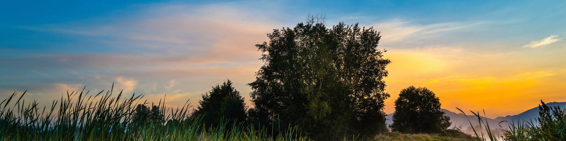 Sunrise landscape of swampy pond and forest at Willband Creek Park in Abbotsford, British Columbia, Canada