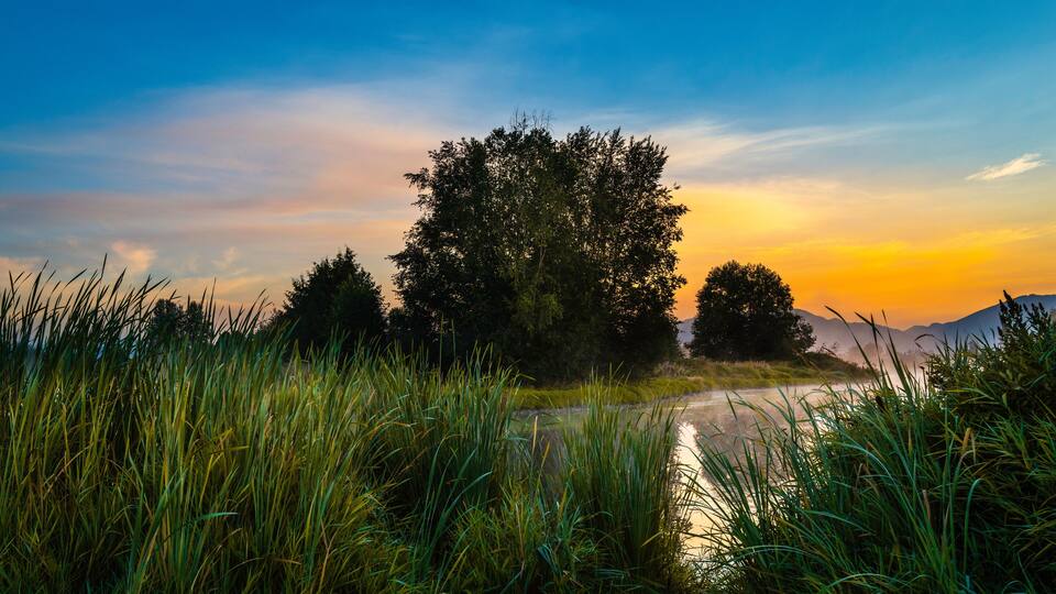 Sunrise landscape of swampy pond and forest at Willband Creek Park in Abbotsford, British Columbia, Canada