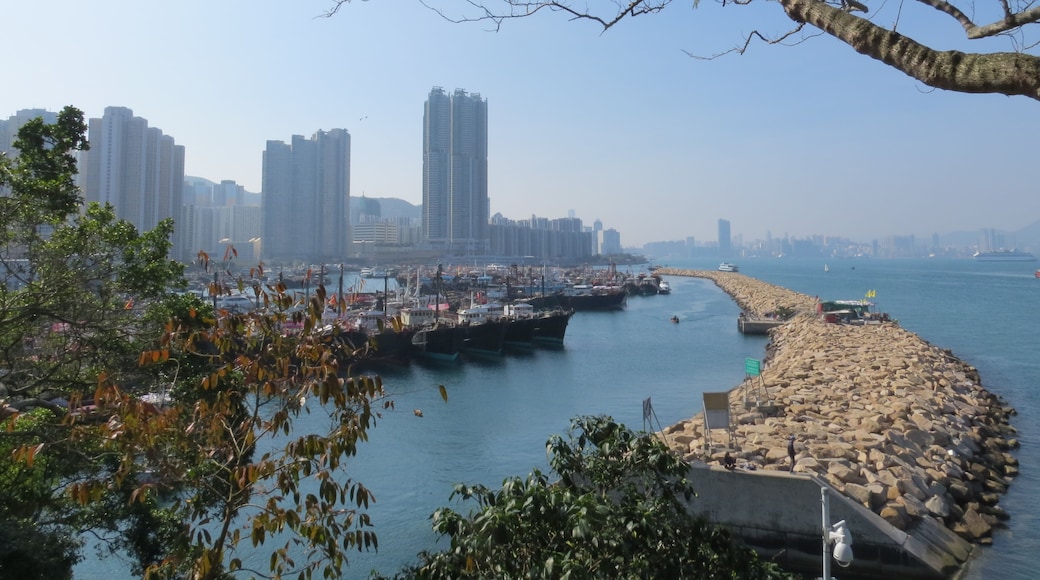 The dam of the Shaukeiwan Typhoon Shelter, Hong Kong.