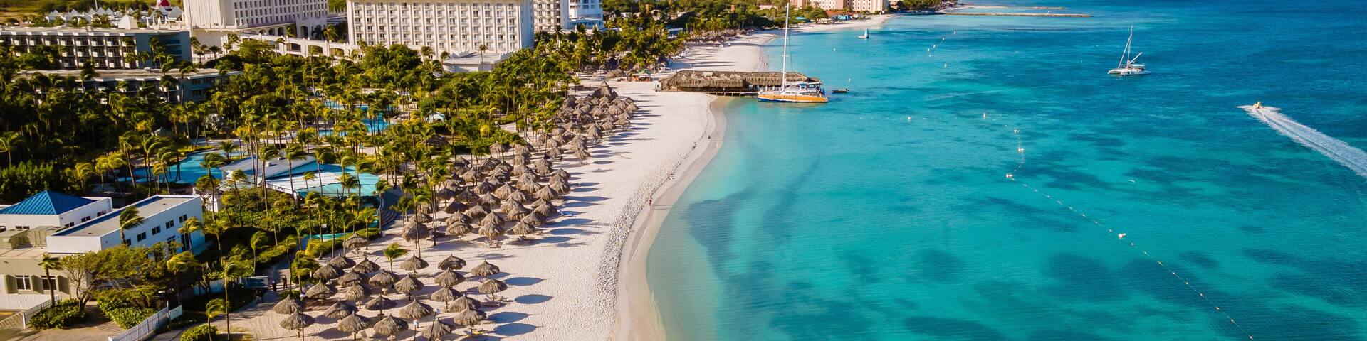 Palm Beach Aruba Caribbean, white long sandy beach with palm trees at Aruba Antilles