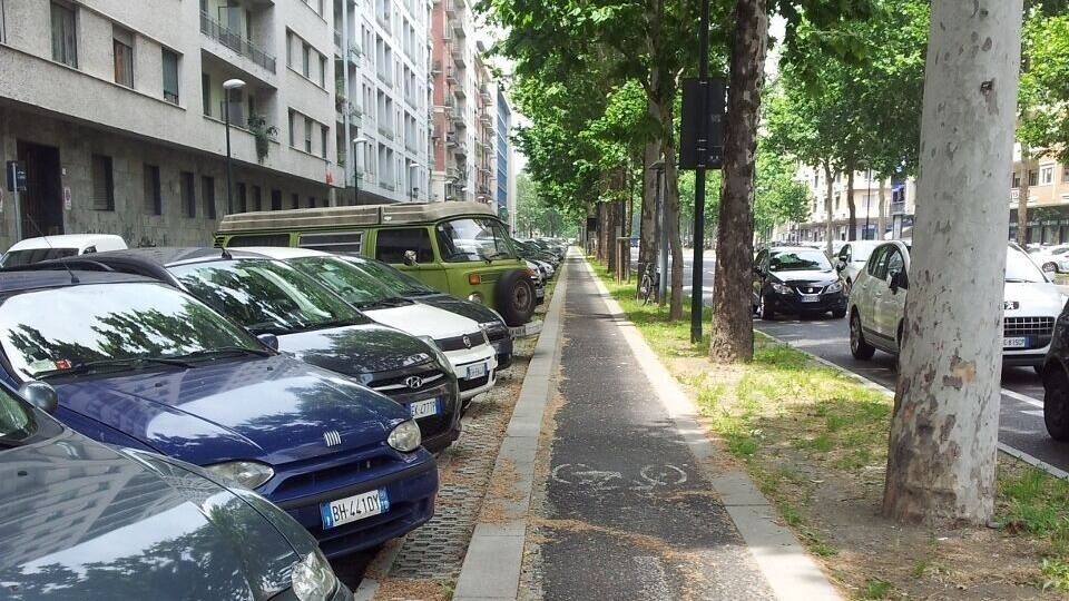 Une rangée de voitures garées le long d’un trottoir bordé d’arbres, dans un quartier urbain.