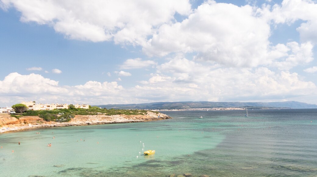 ปีวาราดา