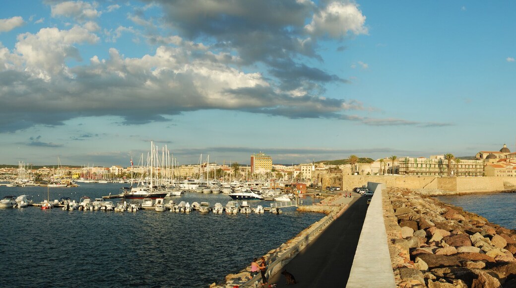 ปีวาราดา