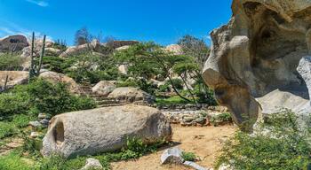 Cool place to explore