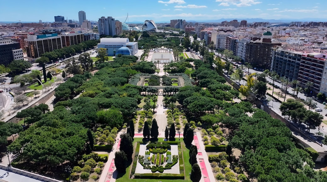 Turia Gardens In Valencia Spain. Bird Eye View Of Stunning Iconic Recreational Park Of The City. Business Sky Downtown Cityscape. Business Backgrounds Panorama. Valencia Spain.