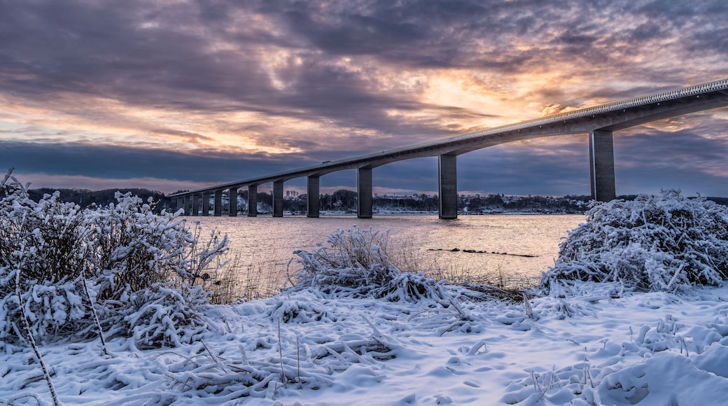 Vejle Fjord highway bridge, Denmark