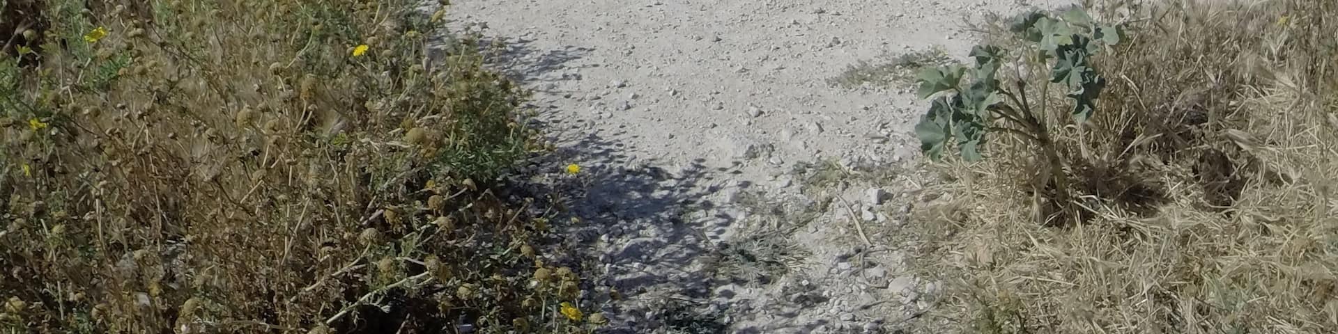 Thomas Ashby, Marsaskala, Malta