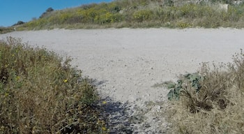 Thomas Ashby, Marsaskala, Malta