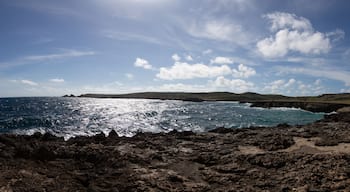 Aruba's Natural Bridge and the coastline around it