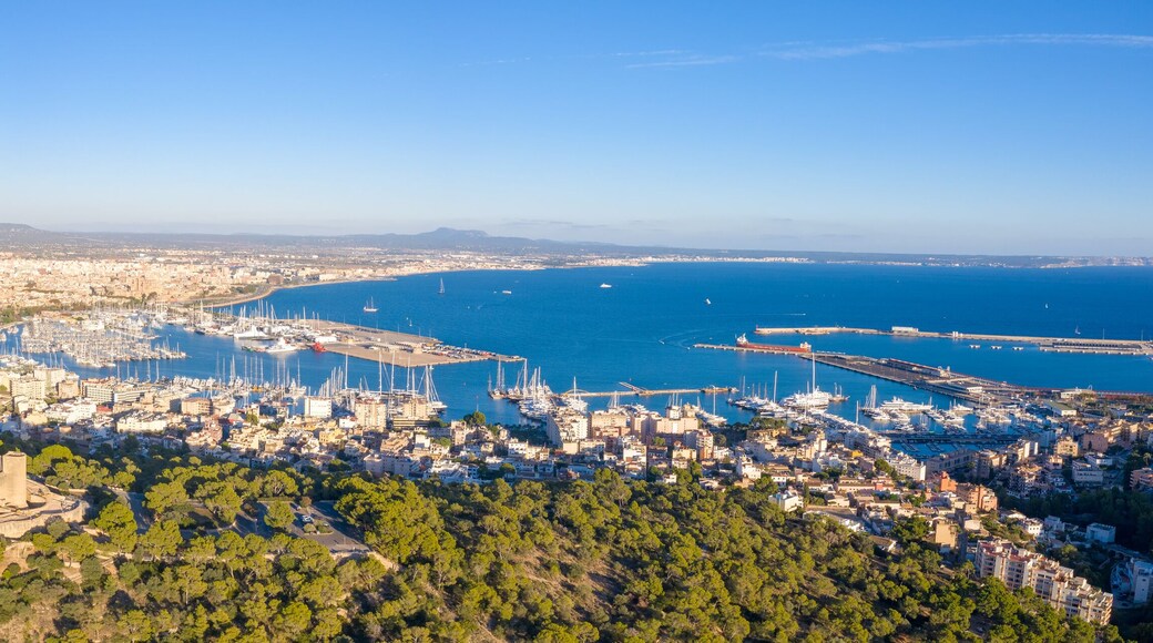 Castell de Bellver castle with Palma de Mallorca and harbor travel traveling holidays vacation aerial photo panorama in Spain