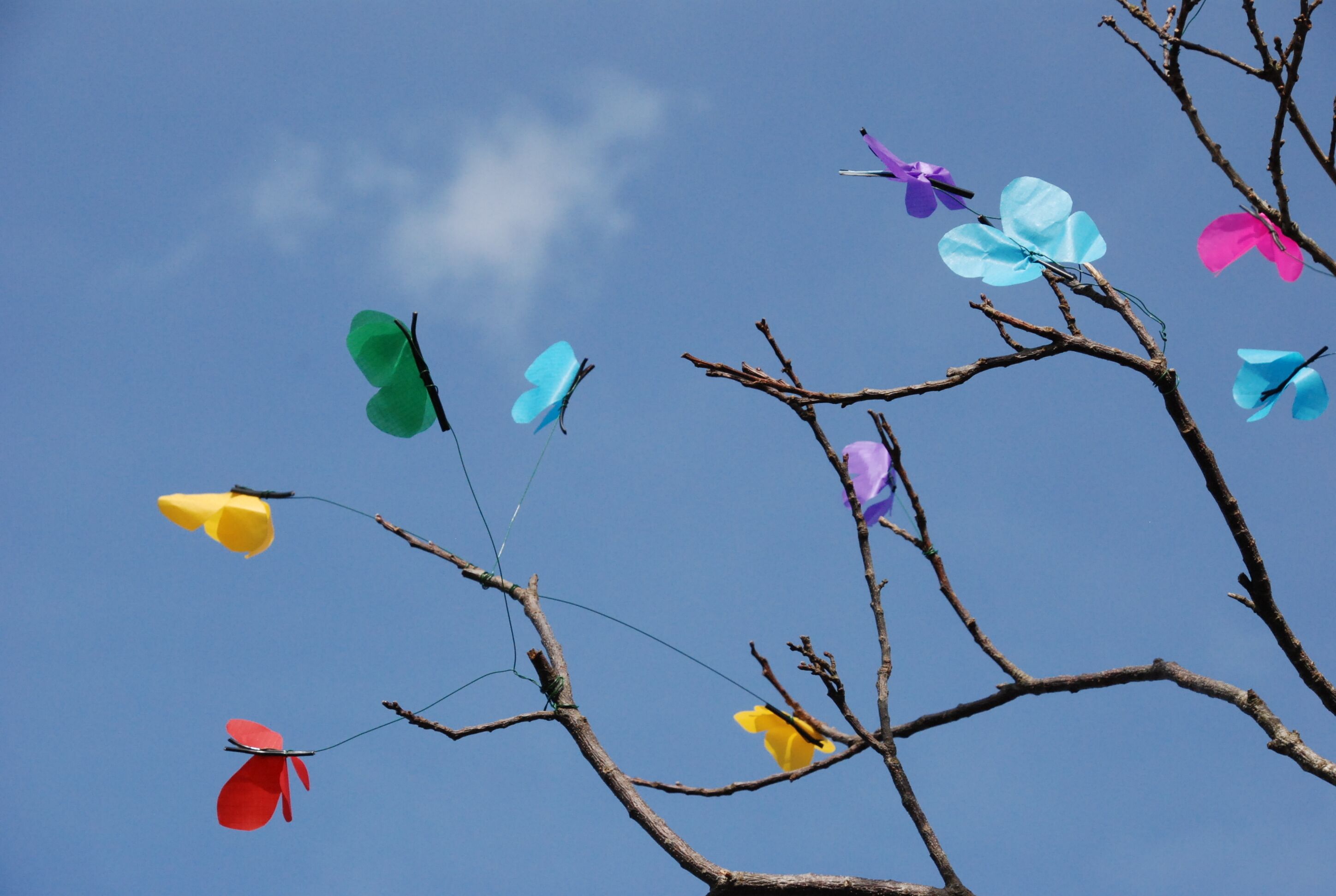 Plan Piéton (Brest) - Papillons à base de toile de voile recyclée