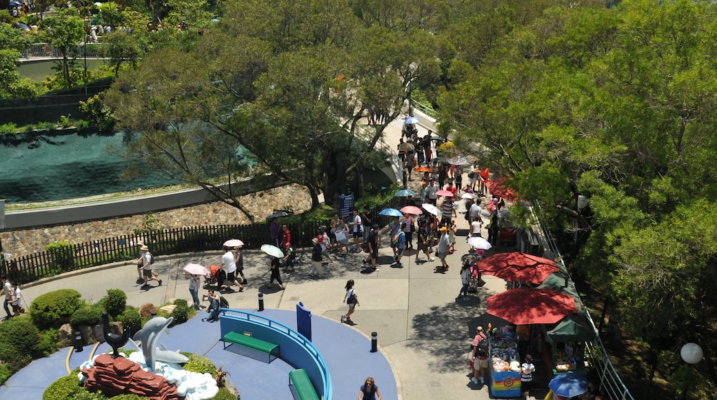 中国香港海洋公园 China Hong Kong Ocean Park China Xinjiang Urumqi Welcome you to tour the, Китай Синьцзяна Урумчи приветствовать Вас на экскурсию, الصين ترحب زيارتك لاورومتشى فى شينجيانغ, 中国新疆のウルムチへの訪問を歓迎する, 中国新疆乌鲁木齐欢迎您来观光旅游