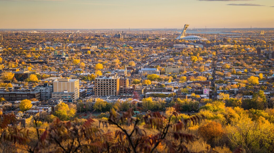 View on Montreal Olympic stadium from Camilien Houde belvedere on top of Mount Royal, at sunrise on a fall day