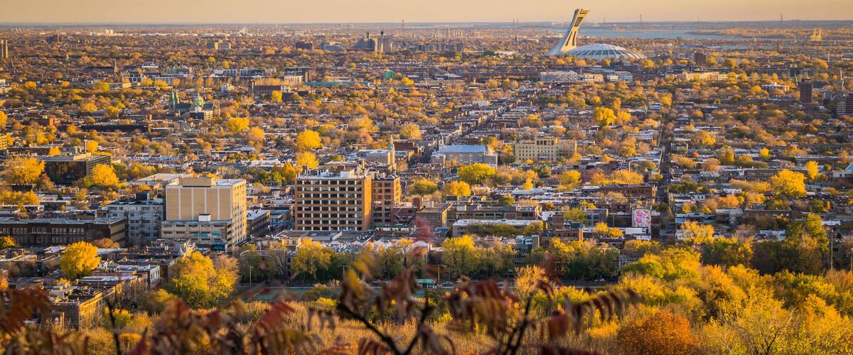 View on Montreal Olympic stadium from Camilien Houde belvedere on top of Mount Royal, at sunrise on a fall day