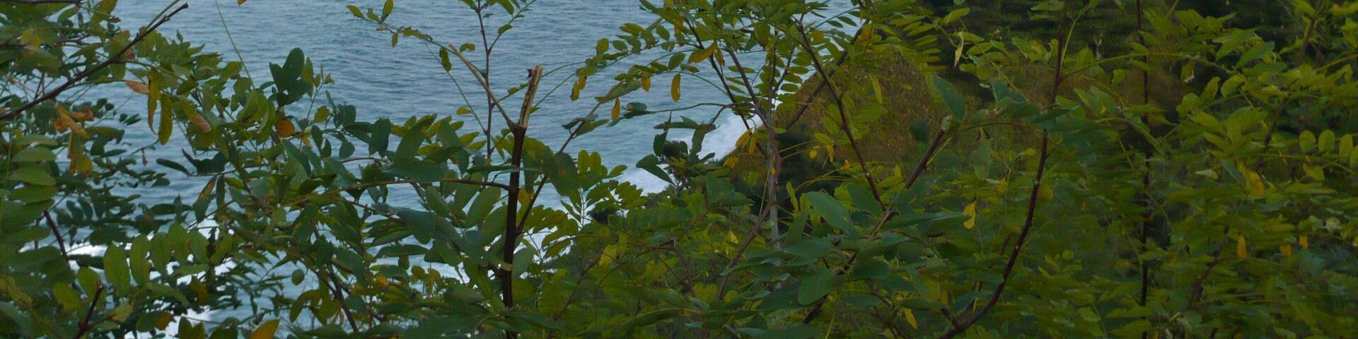 0_157b03c6-7f15-4a4c-8414-86c5bf03d3c1_raw