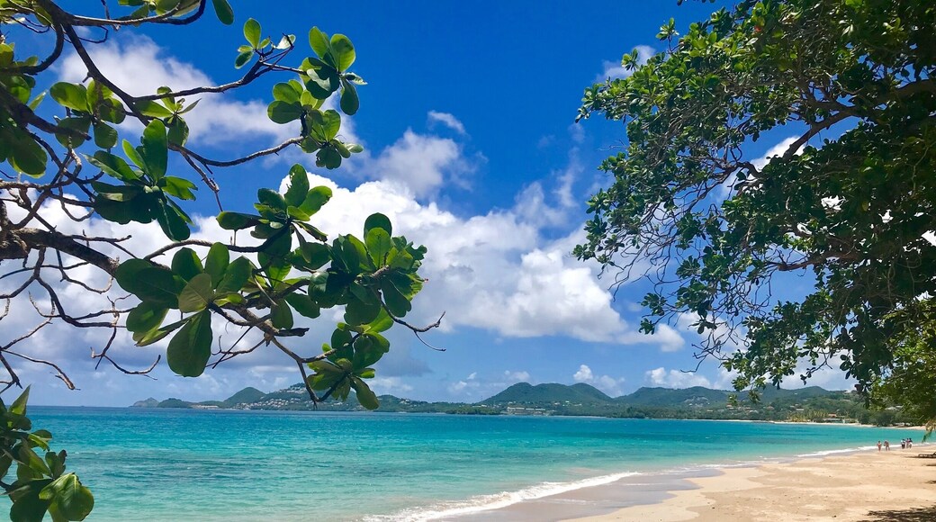 Beautiful Vigie beach in St Lucia ❤️