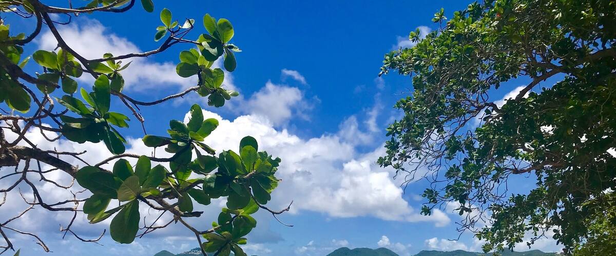 Beautiful Vigie beach in St Lucia ❤️