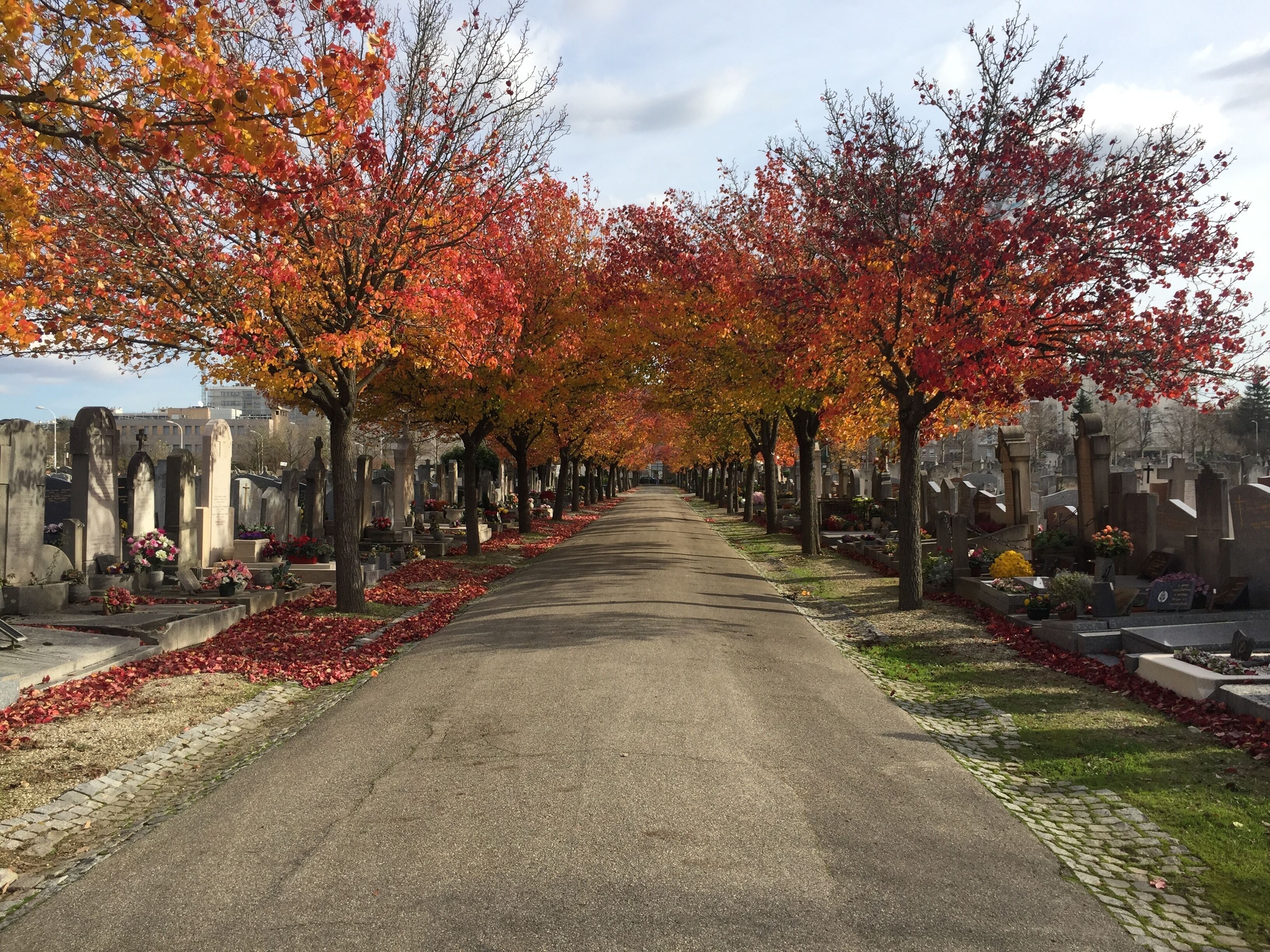 Cemetery of Croix-Rousse (new).