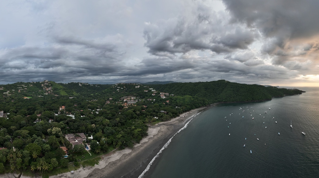 باريو لوس فيّالوبوس