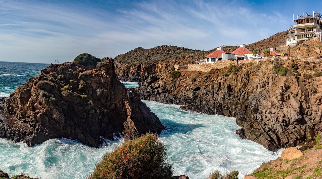 ํ๋ผ์ผ์ค ๋ฐ ์ฐจํํ
ํ