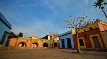 Barrio de Xochimilco