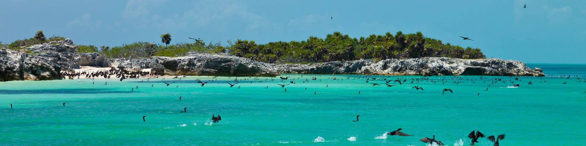 A turquoise sea with people swimming and birds flying near a rocky island with trees.