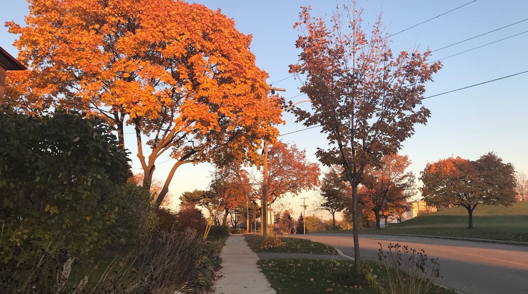 Autumn in Toronto