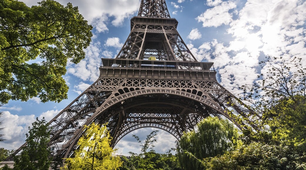 Eiffel Tower, Tour Eiffel, Champs de Mars, Paris, Ile-de-France, France