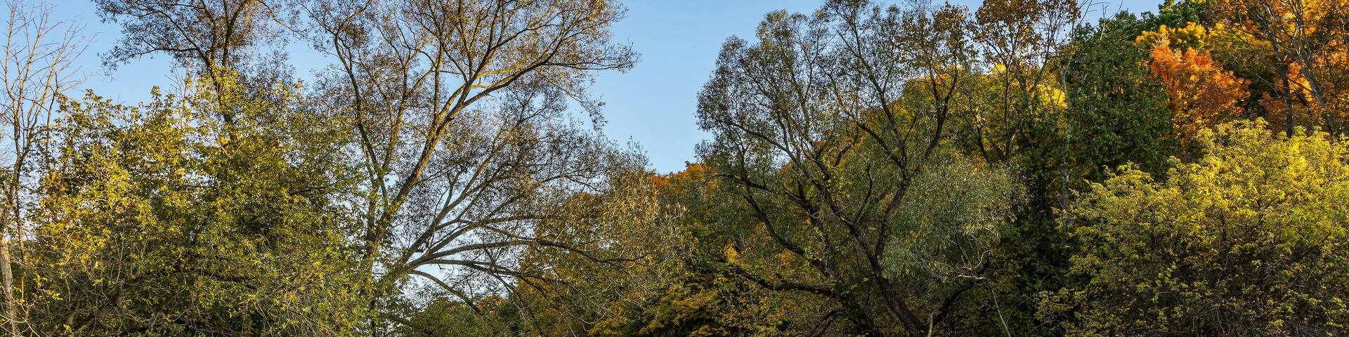 Bronte Creek in Bronte Park with fall colors reflected in creek water