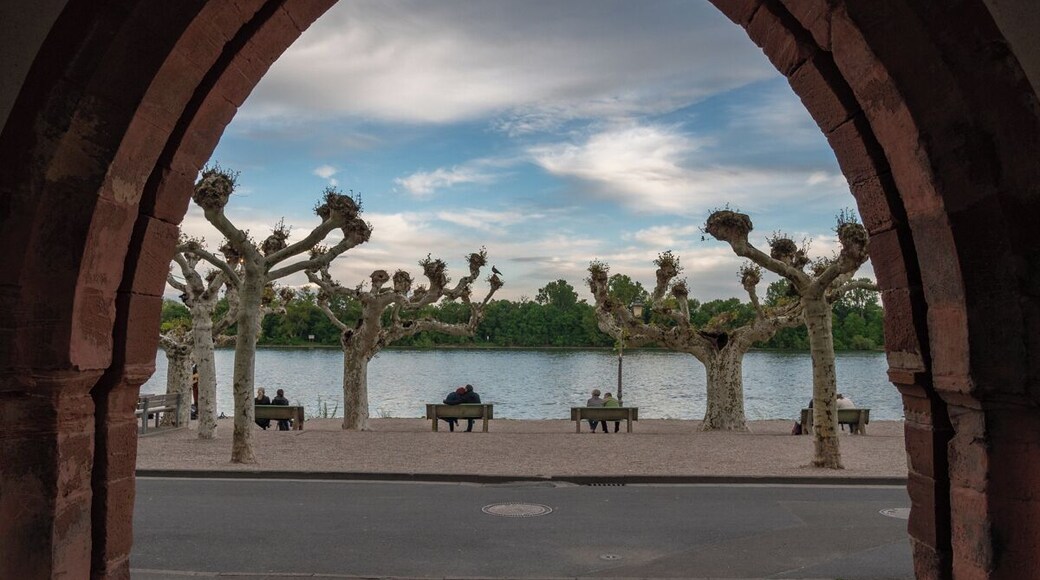 Keep yours eyes open. There are always some unique perspectives to find.
#germany #eltville