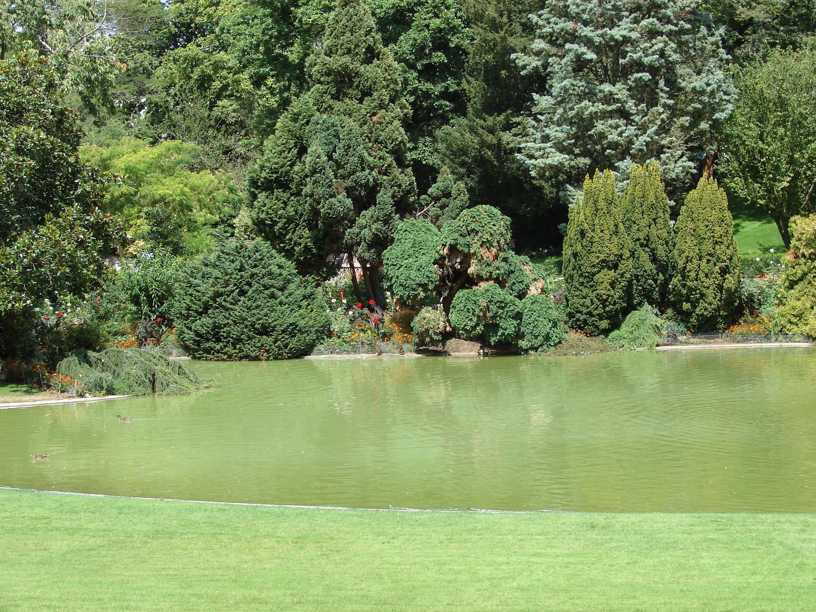 Jardin des plantes d'Angers