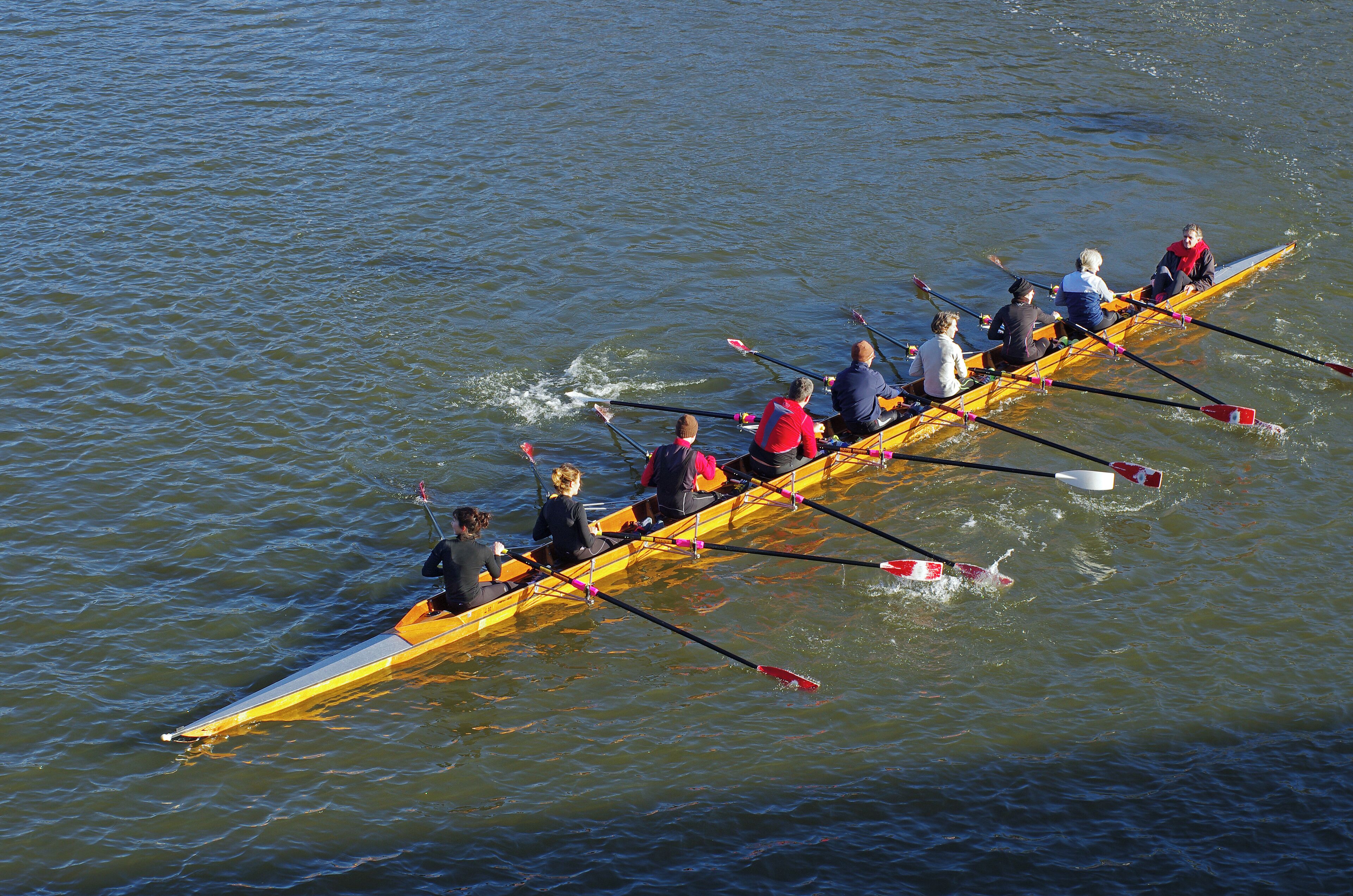 Angers Nautique Aviron. Angers Nautique Aviron, créé sur les bords de Maine en 1893, est labellisé « école française d'aviron trois étoiles » par la Fédération Française des Sociétés d' Aviron (F.F.S.A.) à laquelle le club est affilié. Le club compte parmi ses adhérents, Julien Bahain médaillé de bronze au JeuxOlympiques de Pékin en 4 de couple et Benjamin Manceau, médaillé d'argent aux Championnats duMonde en 2008. www.facebook.com/angersnautiqueaviron Angers Nautique Aviron, created on the banks of Maine in 1893, is labeled "French school rowing three stars" by the French Federation of Rowing 's (FFSA) in which the club is affiliated. The club counts among its members, Julien Bahain bronze medalist in Beijing 4 JeuxOlympiques torque and Benjamin Manceau, silver medalist DuMonde Championships in 2008.