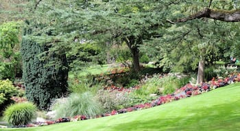 Jardin des plantes d'Angers, Maine et Loire, France