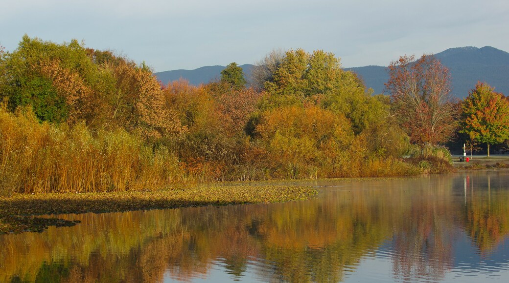 Autumn fall colored trees and bushes with a mountain backdrop reflected in Trout Lake in Vancouver BC Canada