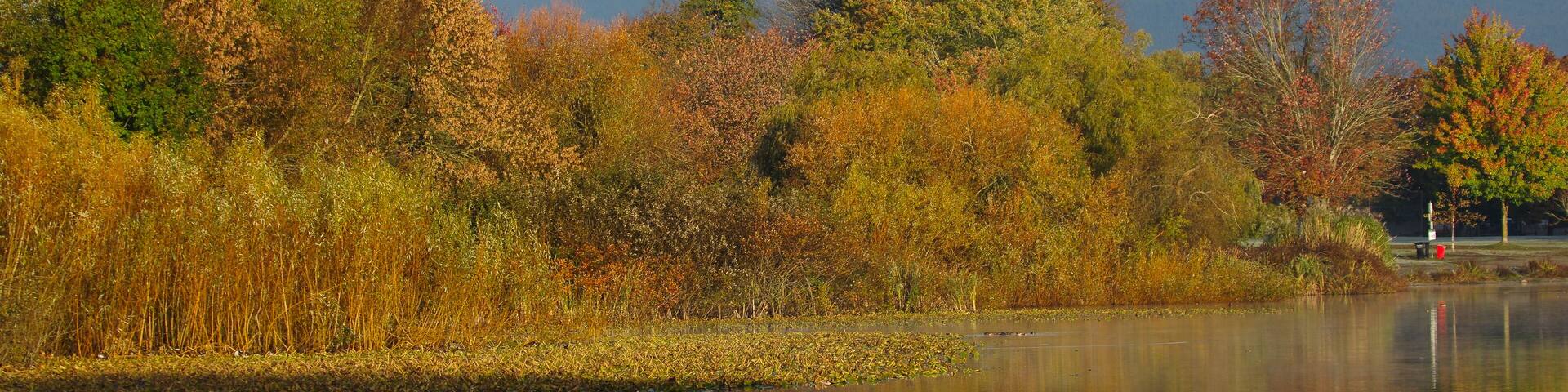 A calm lake with autumn foliage and distant mountains.