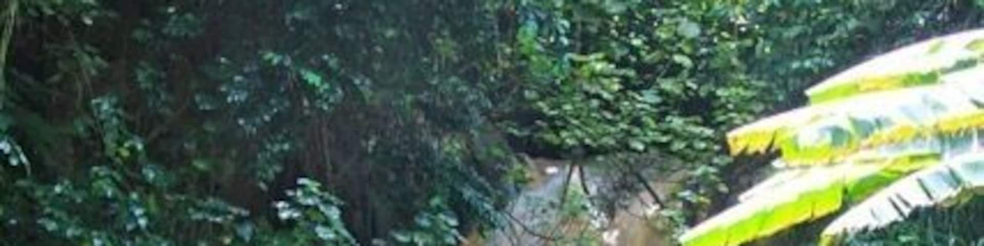 Diamond Falls changes colors due to the volcano