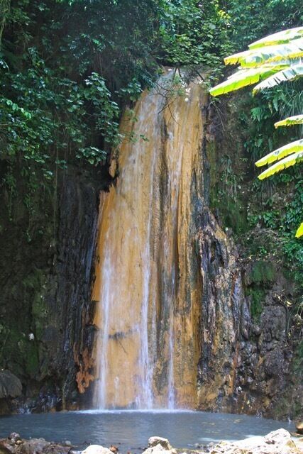 A waterfall cascading down a rocky cliff surrounded by dense foliage.