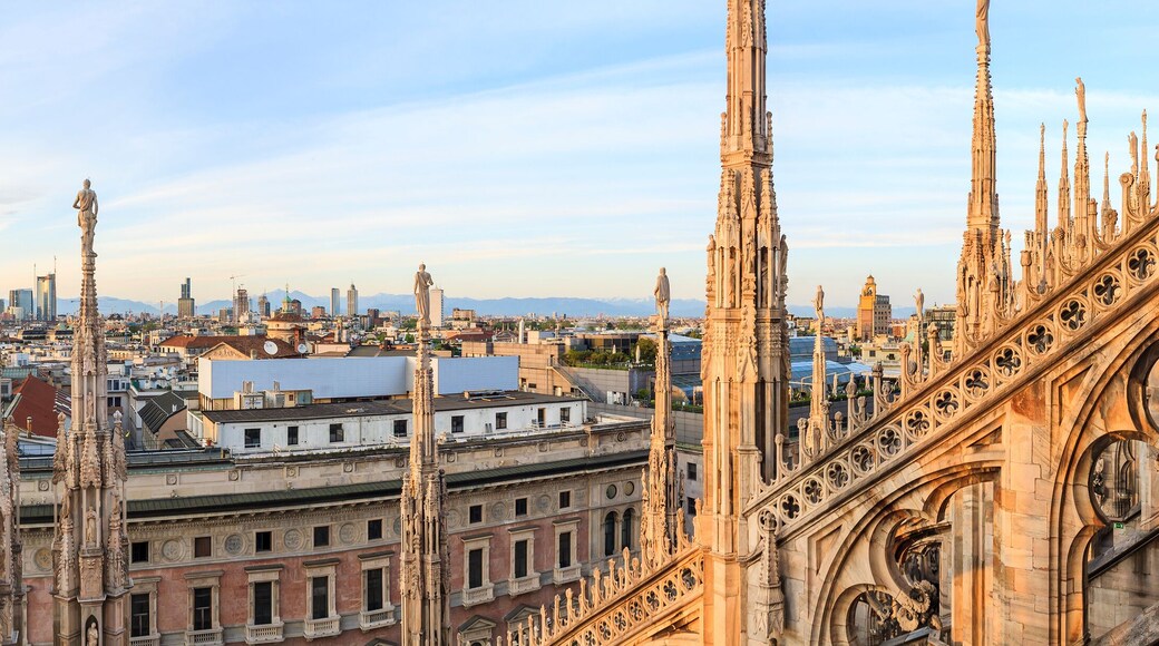 ์นผ๋ฐ์ด๋ผํ
