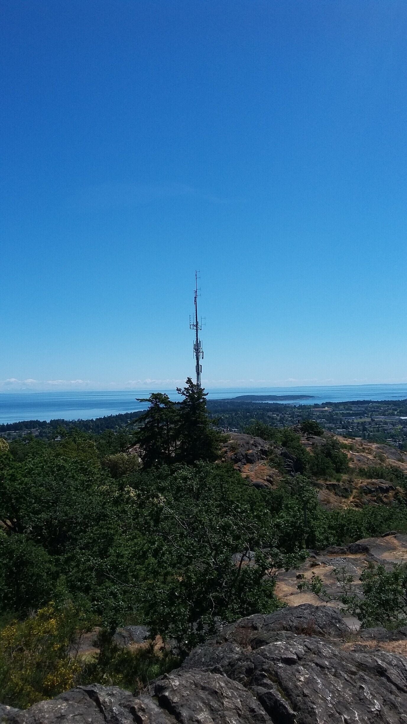 The largest urban forest on the Saanich Peninsula.