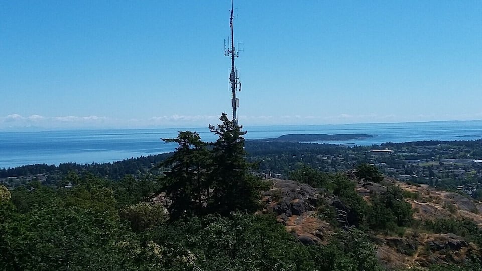 The largest urban forest on the Saanich Peninsula.