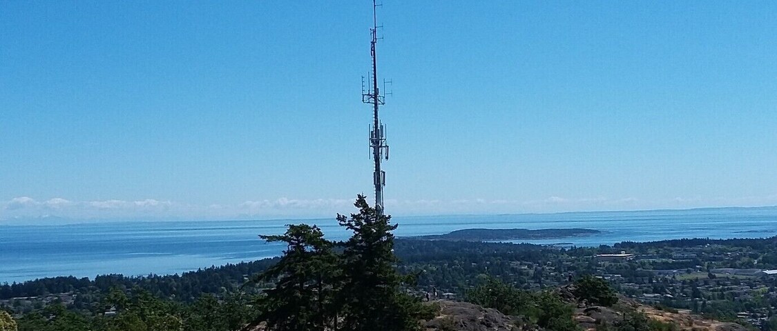 The largest urban forest on the Saanich Peninsula.