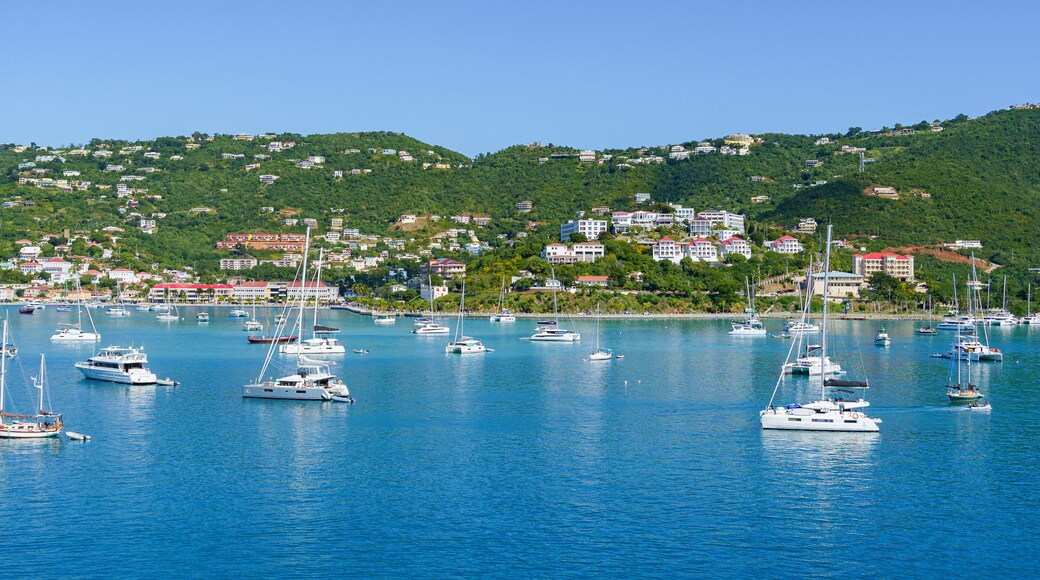 Boats in the harbor of Charlotte Amalie St. Thomas U.S. Virgin Islands