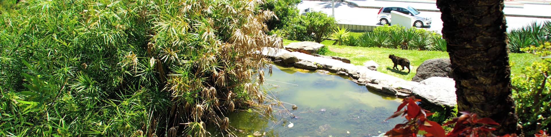 Âź NERJA PLAYA BURRIANA URB. CAPISTRANO PLAYA