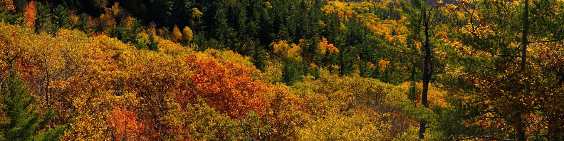 Eardley Escarpment and Ottawa River valley in Fall at Tawadina Lookout Gatineau Park panorama