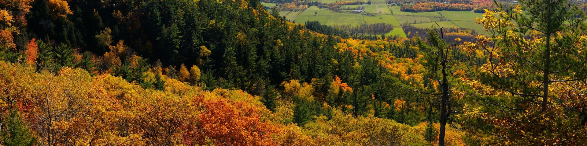 Eardley Escarpment and Ottawa River valley in Fall at Tawadina Lookout Gatineau Park panorama