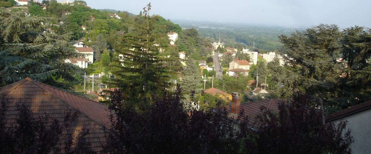 A residential area with houses, trees, and a distant view of a body of water.