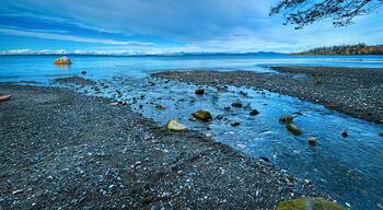 ์ฝ๋๋ฐ ๋ฒ ์ด